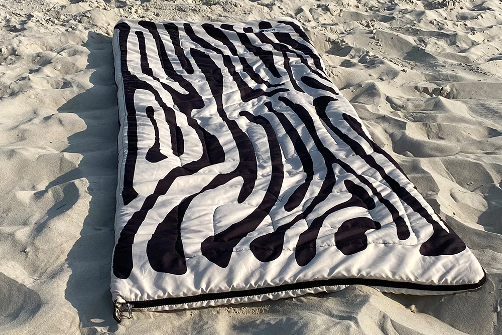 Bentcho Zebra - Image 3