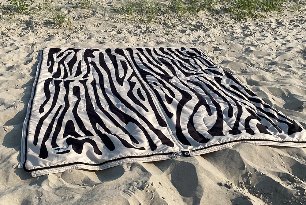 Bentcho Zebra - Image 5